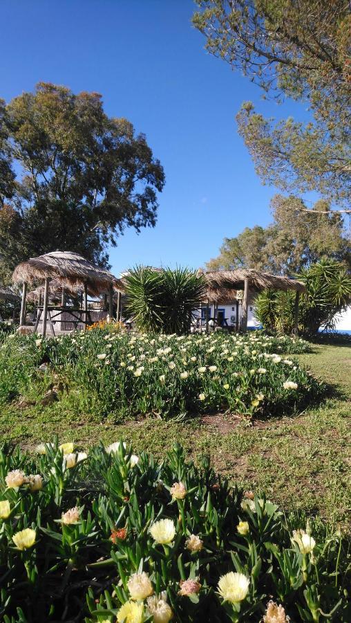 Lodge Monte Do Sobral Alcáçovas Exterior foto
